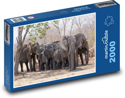 Elephant - Puzzle 2000 pieces, size 90x60 cm 