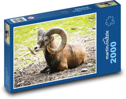 Mufflon - Puzzle 2000 pieces, size 90x60 cm 
