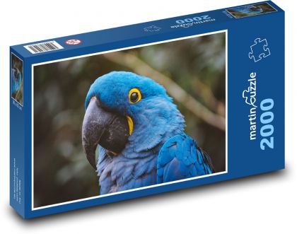 Parrot - Puzzle 2000 pieces, size 90x60 cm 