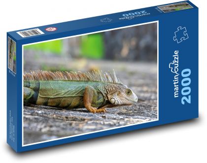 Leguán - Puzzle 2000 dielikov, rozmer 90x60 cm 
