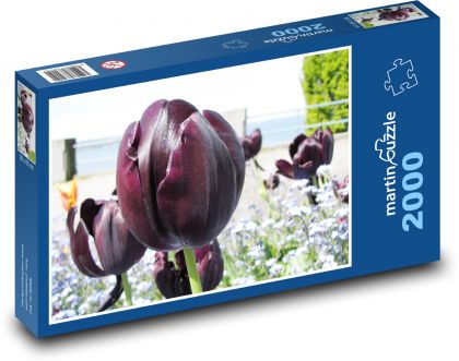 Tulip - Puzzle 2000 pieces, size 90x60 cm 