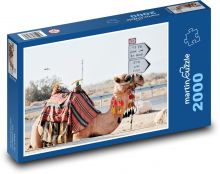 Kamel Puzzle 2000 Teile - 90 x 60 cm