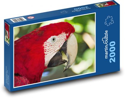 Parrot - ara - Puzzle 2000 pieces, size 90x60 cm 