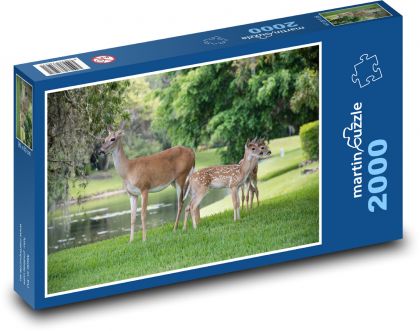 Jeleň v parku - Puzzle 2000 dielikov, rozmer 90x60 cm 