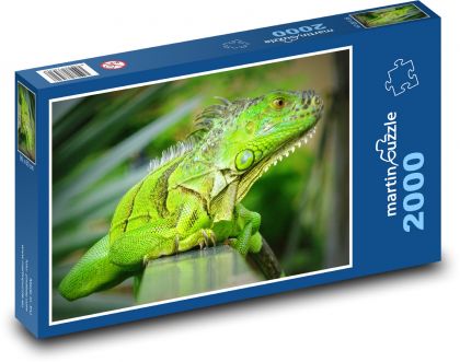 Chameleón - puzzle 2000 dílků