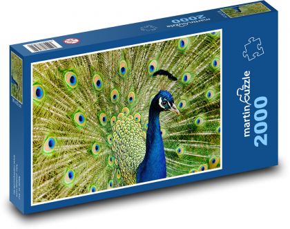 Páv - puzzle 2000 dílků