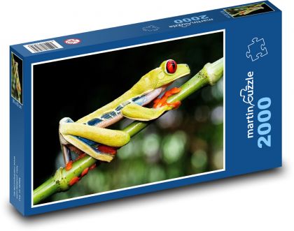 Žaba - žaba - Puzzle 2000 dielikov, rozmer 90x60 cm 