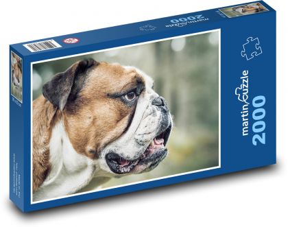 Pes - buldok - puzzle 2000 dílků