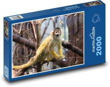 Opice Puzzle 2000 - 90x60 cm