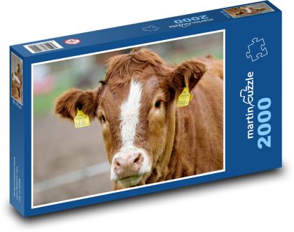 Kuh - Kalb - Puzzle - 2000 Teile