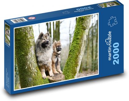 Eurázijský pes - Puzzle 2000 dielikov, rozmer 90x60 cm 