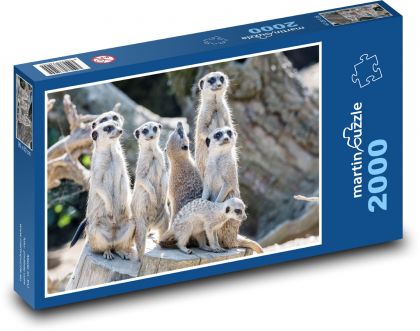 Surikaty - Puzzle 2000 dielikov, rozmer 90x60 cm 