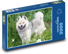 Eurasier - pes Puzzle 2000 dílků - 90 x 60 cm