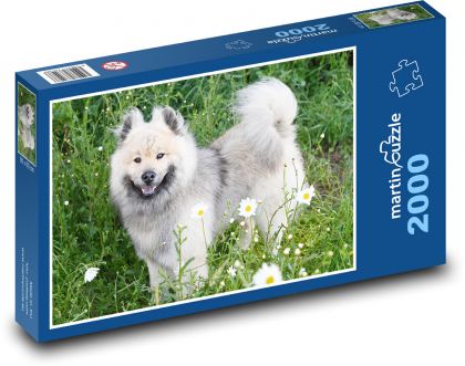 Eurasier - pes - Puzzle 2000 dílků, rozměr 90x60 cm