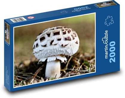 Huby - muchomůrka - Puzzle 2000 dielikov, rozmer 90x60 cm 
