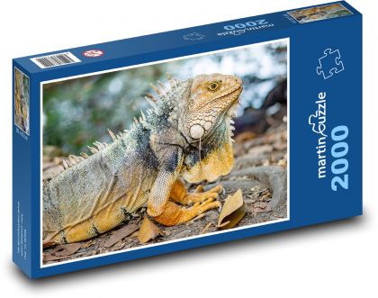 Legwan - gad - Puzzle 2000 elementów, rozmiar 90x60 cm