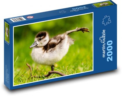 Nile goose - Puzzle 2000 pieces, size 90x60 cm 