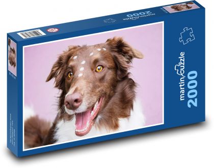 Border Collie - Puzzle - 2000 Teile