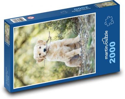 Retriever - puppy - Puzzle 2000 pieces, size 90x60 cm 
