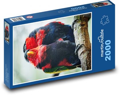 papagájotvaré - Puzzle 2000 dielikov, rozmer 90x60 cm 