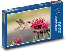 Hummingbird. Puzzle 2000 pieces - 90 x 60 cm