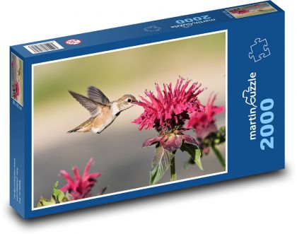 Kolibri - Puzzle - 2000 Teile