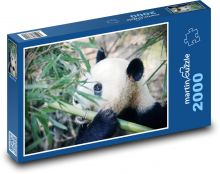 Panda Puzzle 2000 dielikov - 90 x 60 cm