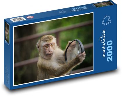 Monkey - Puzzle 2000 pieces, size 90x60 cm 