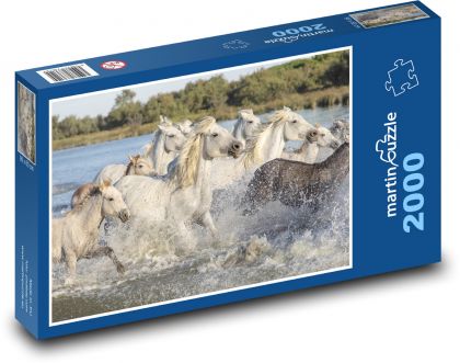 Hříbata běžící ve vodě - puzzle 2000 dílků