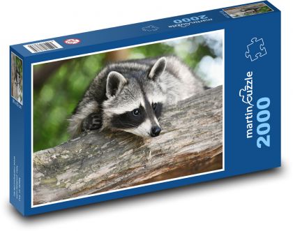 Mýval. - Puzzle 2000 dielikov, rozmer 90x60 cm 