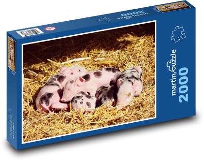 Schlafende Ferkel - Puzzle - 2000 Teile