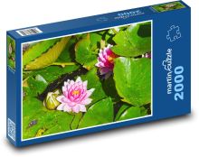 AKVABELY Puzzle 2000 dielikov - 90 x 60 cm