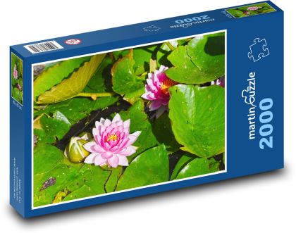Lekníny - puzzle 2000 dílků