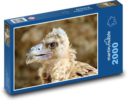 Sup čierny - Puzzle 2000 dielikov, rozmer 90x60 cm 