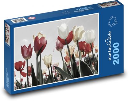 Tulipány - Puzzle 2000 dielikov, rozmer 90x60 cm 