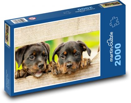 Welpen - Hunde - Puzzle - 2000 Teile