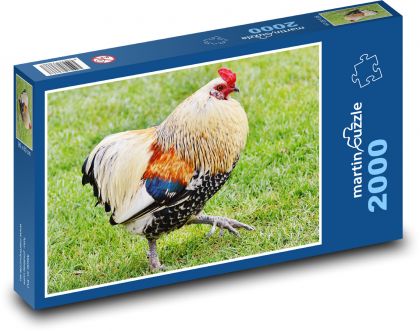 Hen - Puzzle 2000 pieces, size 90x60 cm 