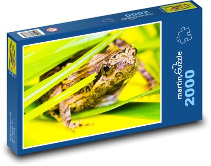 Žaba - pulóver - Puzzle 2000 dielikov, rozmer 90x60 cm 