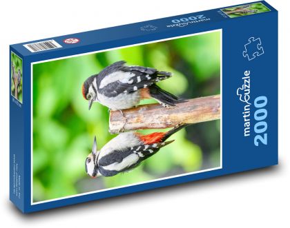 Dzięcioł duży - Puzzle 2000 elementów, rozmiar 90x60 cm