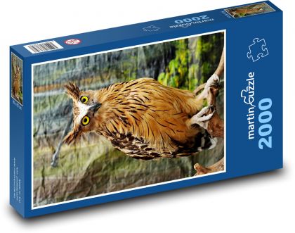 Sova - vták - Puzzle 2000 dielikov, rozmer 90x60 cm 