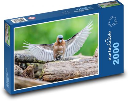 Zięba - ptak - Puzzle 2000 elementów, rozmiar 90x60 cm