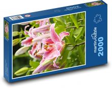 Lily Flower Puzzle 2000 pieces - 90 x 60 cm