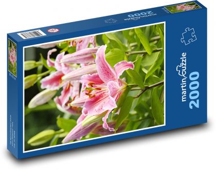 Květ lilie - puzzle 2000 dílků