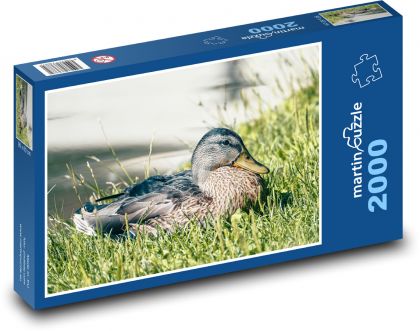 Wildente - Puzzle - 2000 Teile