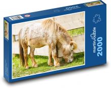 Poník - kůň Puzzle 2000 - 90x60 cm