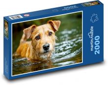 Pies w wodzie Puzzle 2000 elementów - 90x60 cm