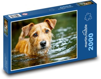 Pies w wodzie - Puzzle 2000 elementów, rozmiar 90x60 cm