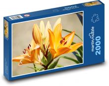 Orangenlilie Puzzle 2000 Teile - 90 x 60 cm
