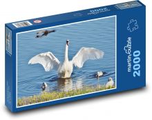 Swan on the pond Puzzle 2000 pieces - 90 x 60 cm