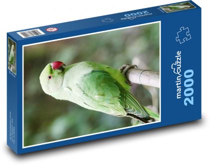 Papagei. - Puzzle - 2000 Teile